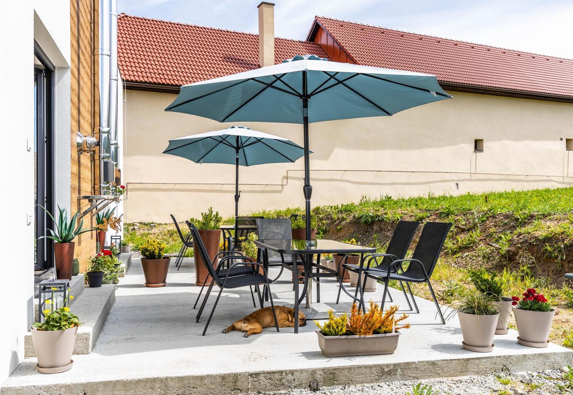 Sunny Apartment With Free Parking Zvolen Ngoại thất bức ảnh